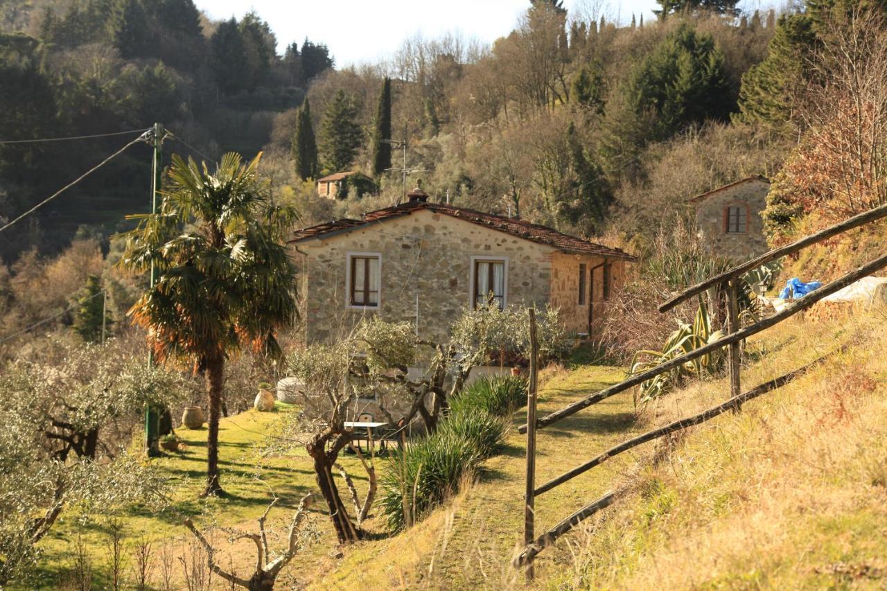 Vacanze Giovanni Garibaldi *