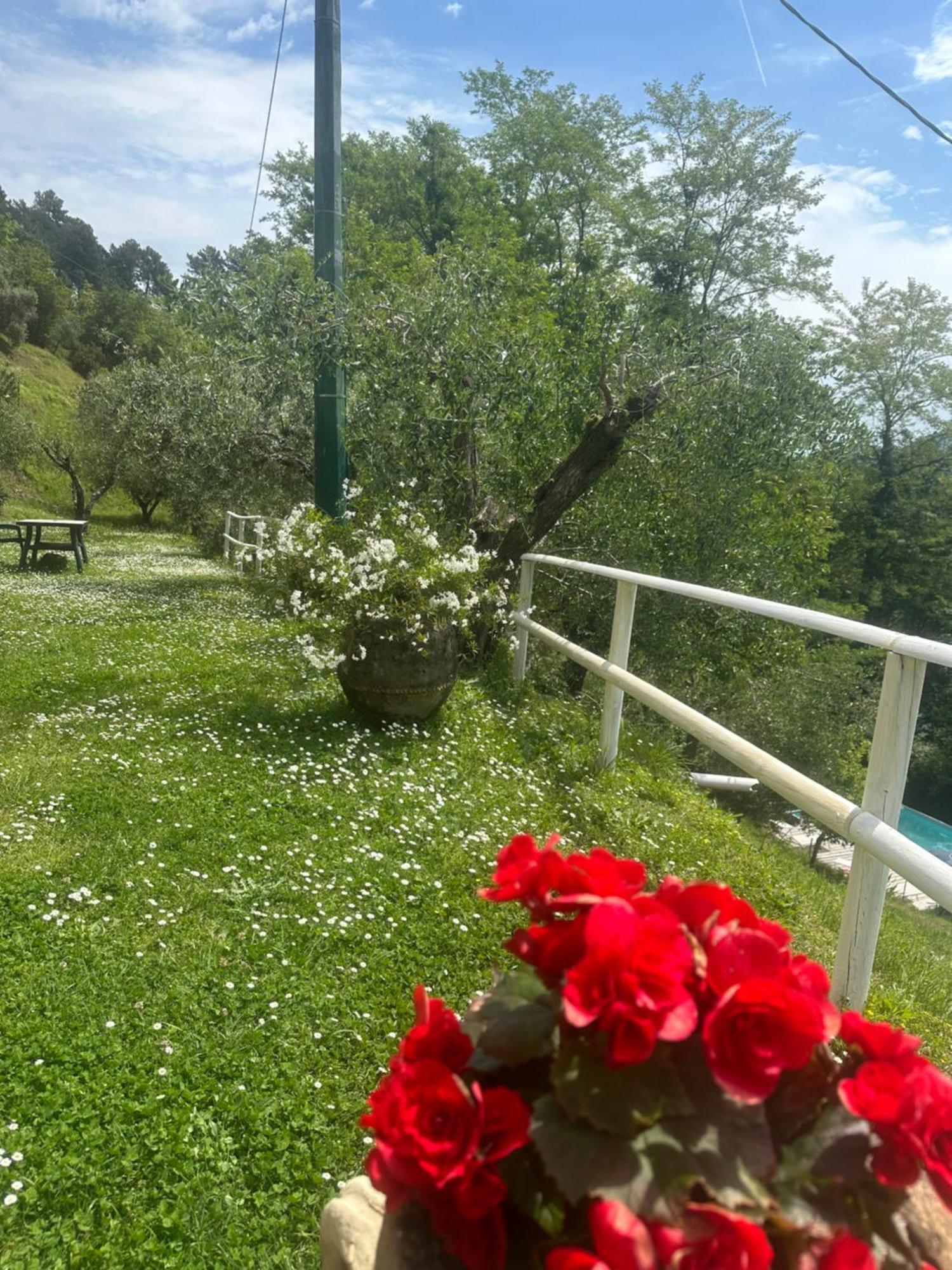 Vacanze Giovanni Garibaldi Apartment Pescaglia